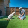 pet-turf-frisco